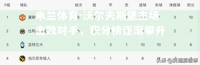 米兰体育-沃尔夫斯堡主场击败对手，积分榜逐渐攀升